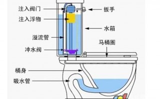 库博怎么分正反，库博正反面