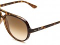 sunglasses什么意思，sunglasses什么意思翻译
